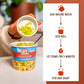 Dr. Mcdougall'S Vegan Chicken Soup - Chicken Noodle Soup - Organic Ramen Noodle Cups - Lower Sodium Vegan Soup With Instant Nood
