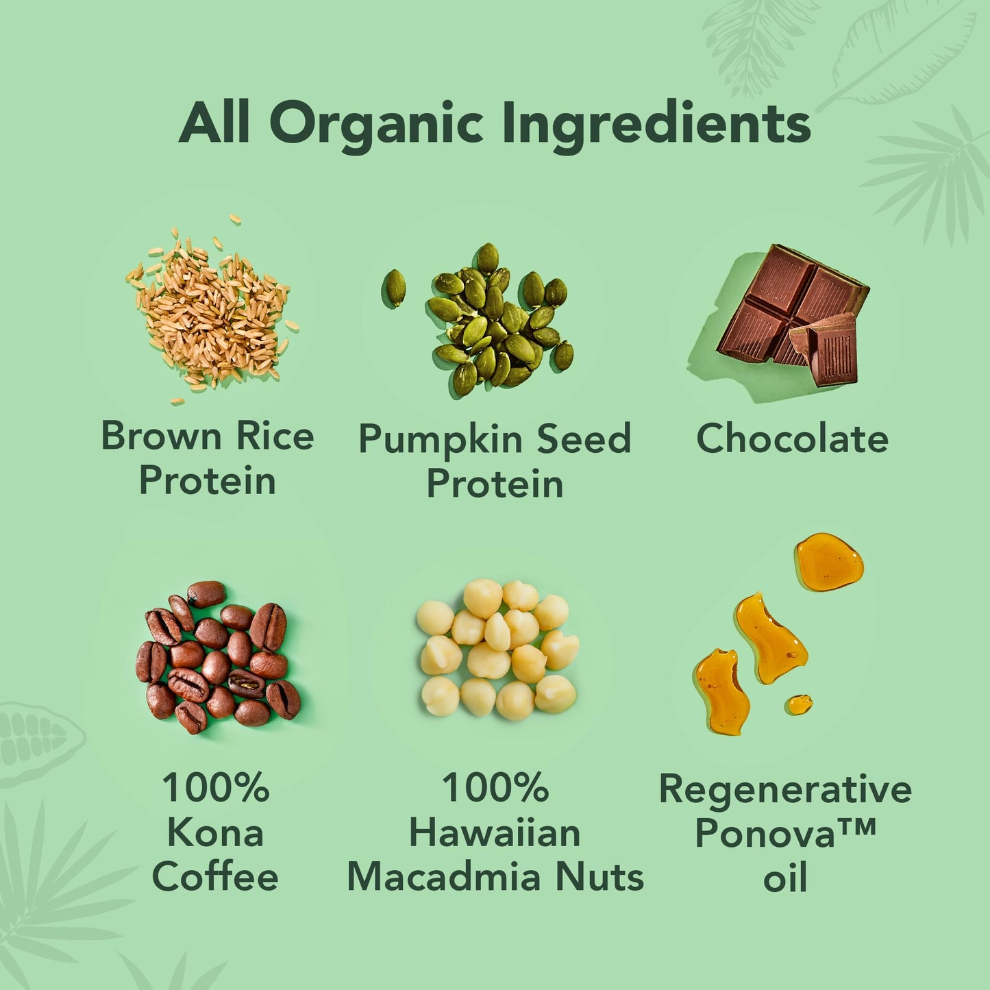 ALOHA Organic Plant Based Protein Bars - Peppermint White Chocolate, Vegan, Low Sugar, 1.98 oz (Pack of 12)