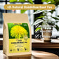 Fullchea - Dandelion Root Tea Bags, 100 Teabags, 2.5G/Bag - Enhanced Raw Dandelion Root Tea Detox - Non-Gmo - Caffeine-Free - Rich In Vitamins & Support Immune System