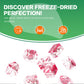 Freeze Dried Dragon Fruit Chunks, 150G/5.3Oz Freeze Dried Fruit, Frozen Dragon Fruit, No Sugar Added, 100% Natural, For Smoothie