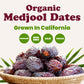 Food To Live Organic California Medjool Dates, 1 Pound - Soft & Juicy Nature'S Candy. Non-Gmo Whole Dry Fancy Dates With Pits. P