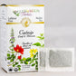 Celebration Herbals Organic Catnip Leaf and Blossom Tea Bags, 24 Count, Multicolored