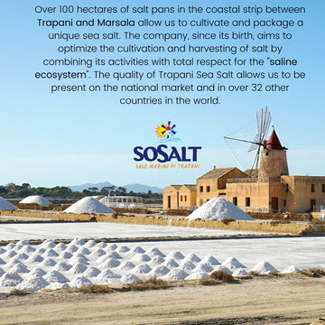 SOSALT DAL MARE DI TRAPANI Fine Sea Salt, All Natural, 5kg (11 lb) Bulk, Kosher, Mediterranean Sea Salt