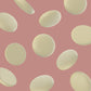 Merckenswafers Melts - 2 Pound Bulk Pack - White Chocolate