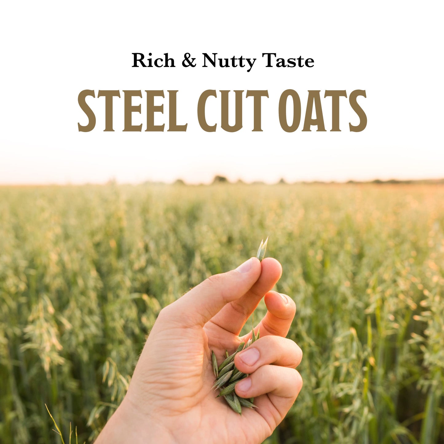 Mccann'S Irish Oatmeal, Quick & Easy Steel Cut Oats, 16 Ounce