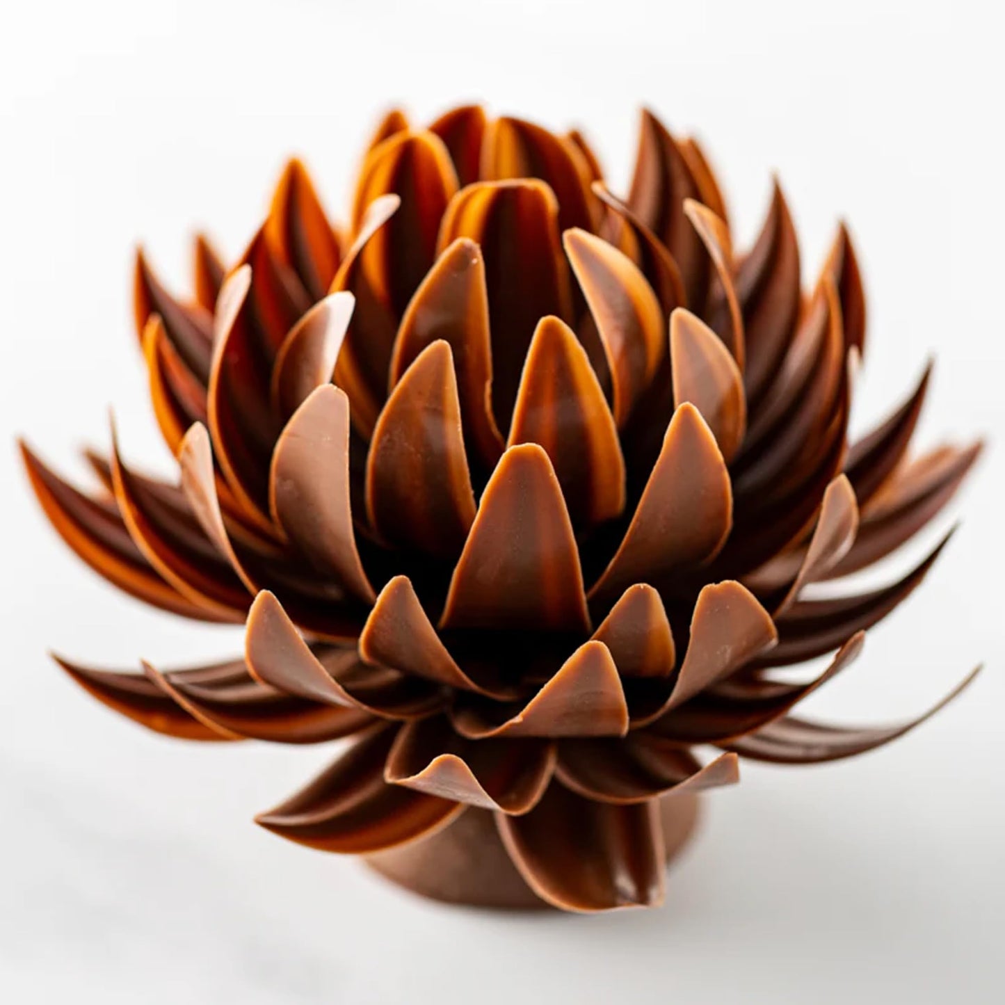 Callebaut Milk Callets 33.6% from OliveNation - 2 pounds
