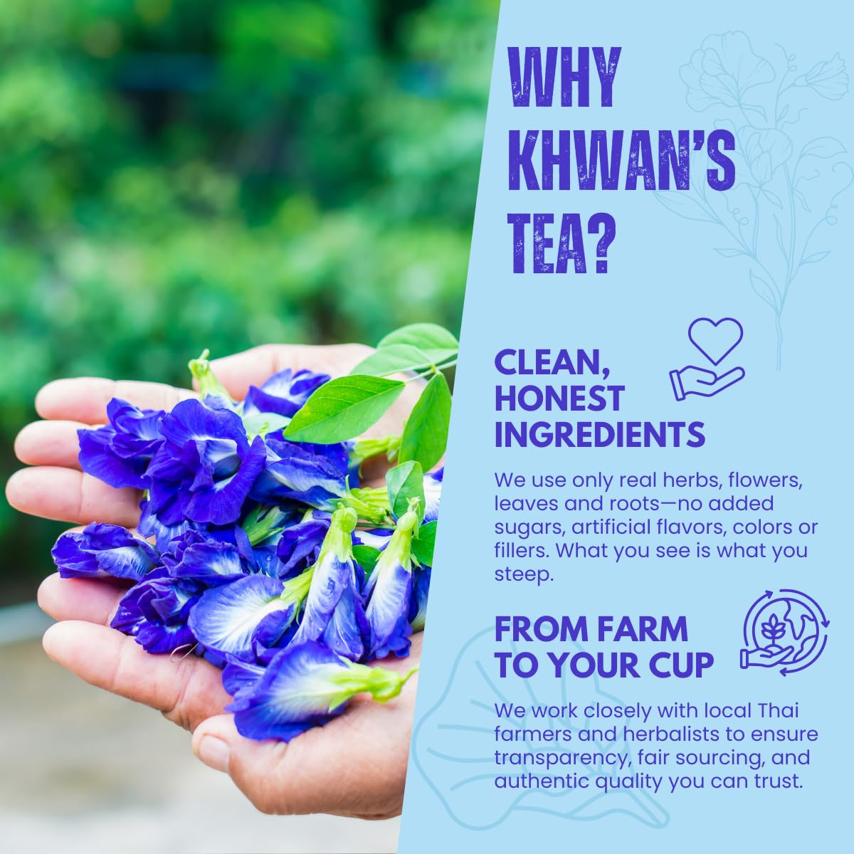 KHWANS TEA Butterfly Pea Flower Tea - Herbal, Caffeine-Free, 1.80 Ounce (50g) Pack