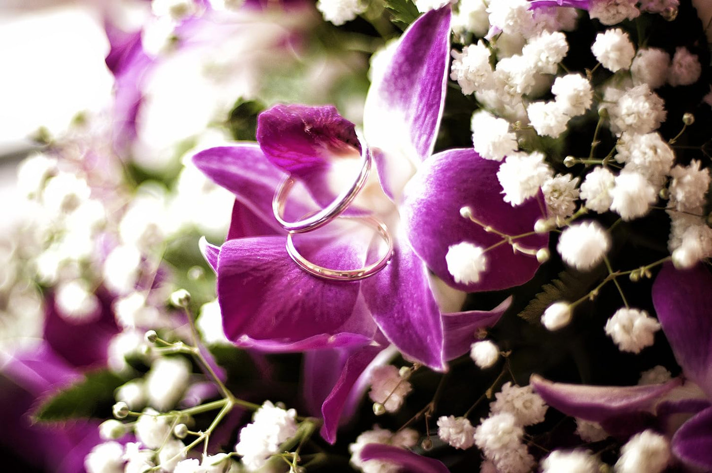 Sunne Tropical Orchid Loose Bloom DIY Lei, 50 Purple, Model ORC-LBS-PUR50, Food & Drink Decoration