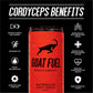 G.O.A.T. Fuel Energy Drink - Natural Caffeine, Electrolytes, BCAAs, Light Carbonation, 12 Pack, 12 Fl Oz, Watermelon Fruit Punch