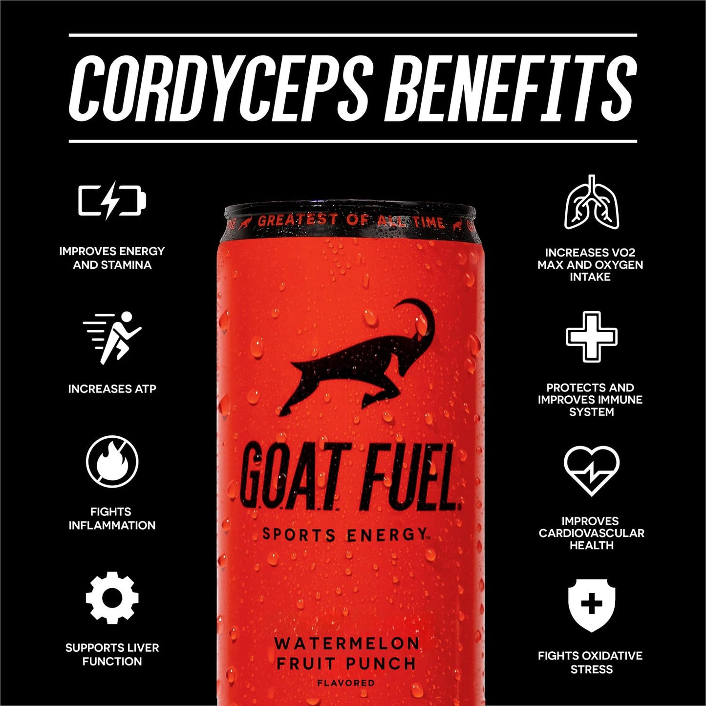 G.O.A.T. Fuel Energy Drink - Natural Caffeine, Electrolytes, BCAAs, Light Carbonation, 12 Pack, 12 Fl Oz, Watermelon Fruit Punch