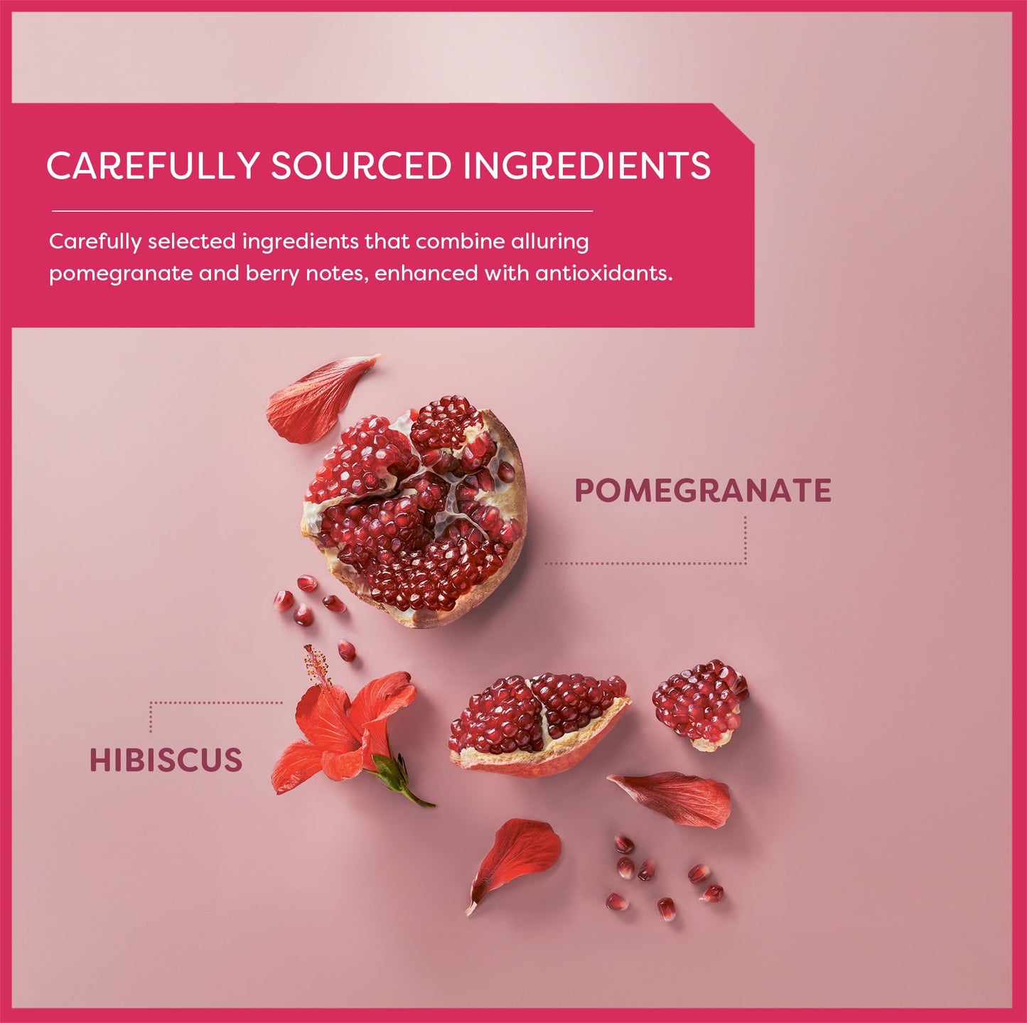 Wissotzky Herbal Tea Pomegranate - Caffeine Free, Antioxidant Rich, 6 Pack (120 Tea Bags)