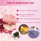 Fullchea - Dried Rose Petals - 1Oz/29G - Edible Flowers Real Rose Petals - Non-Gmo - Caffeine-Free - Use In Tea, Baking, Crafting