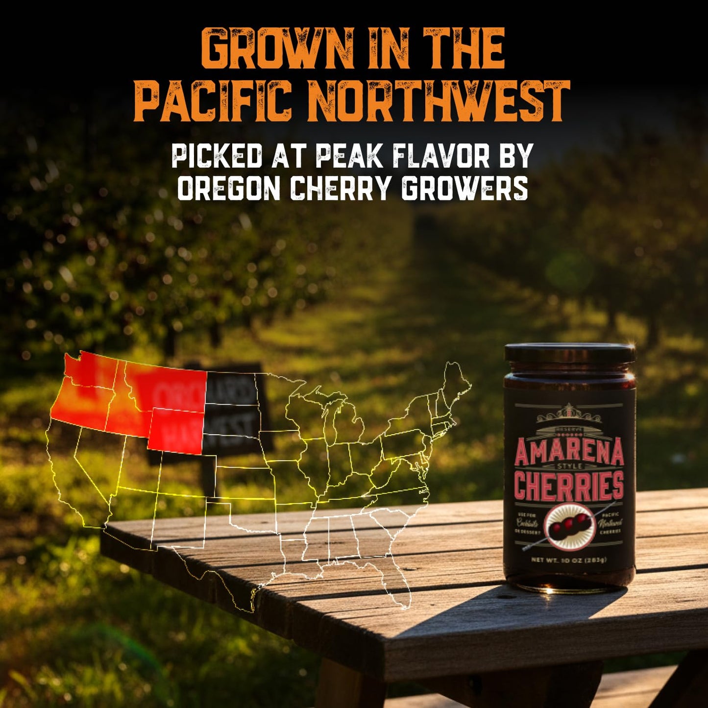 Cocktail Amarena Cherries In Syrup, 10Oz (30+ Count) - Enhanced Spirit-Inspired Flavor Spirit-Inspired Flavor Cocktail Garnish - Black Cherries For Old Fashioned, Manhattan And Desserts, Made In Usa - Spirit-Inspired Flavor Gifts For Men Dads