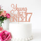 Young And Sweet Only 17 Cake Topper, Happy 17Th Birthday Decorations, Cheers To 17 Years Old Birthday Party Decorations Rose Gol