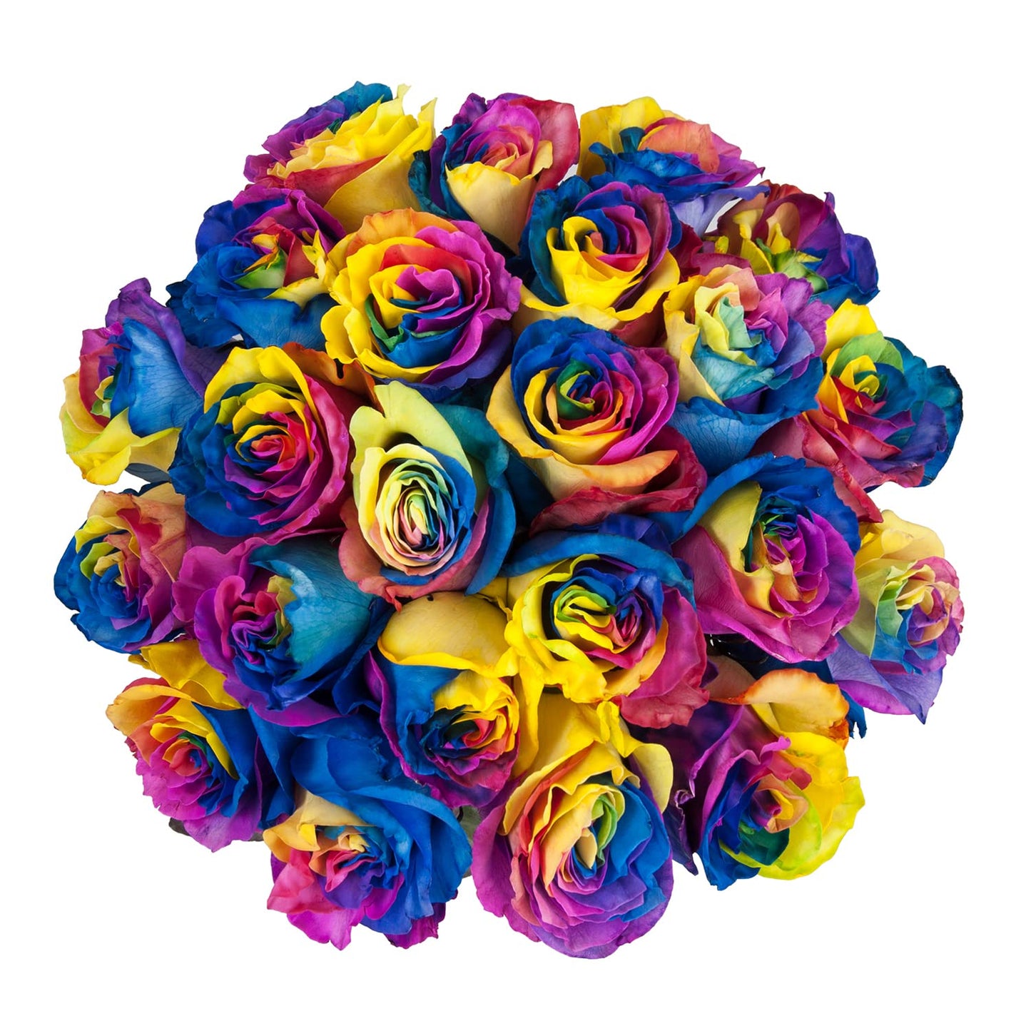 Blommingmore | Fresh Cut Flowers | Natural Tinted Rainbow Roses | 25 Stems - 20 In | Home, Office, Wedding Decor, Diy, Party Eve