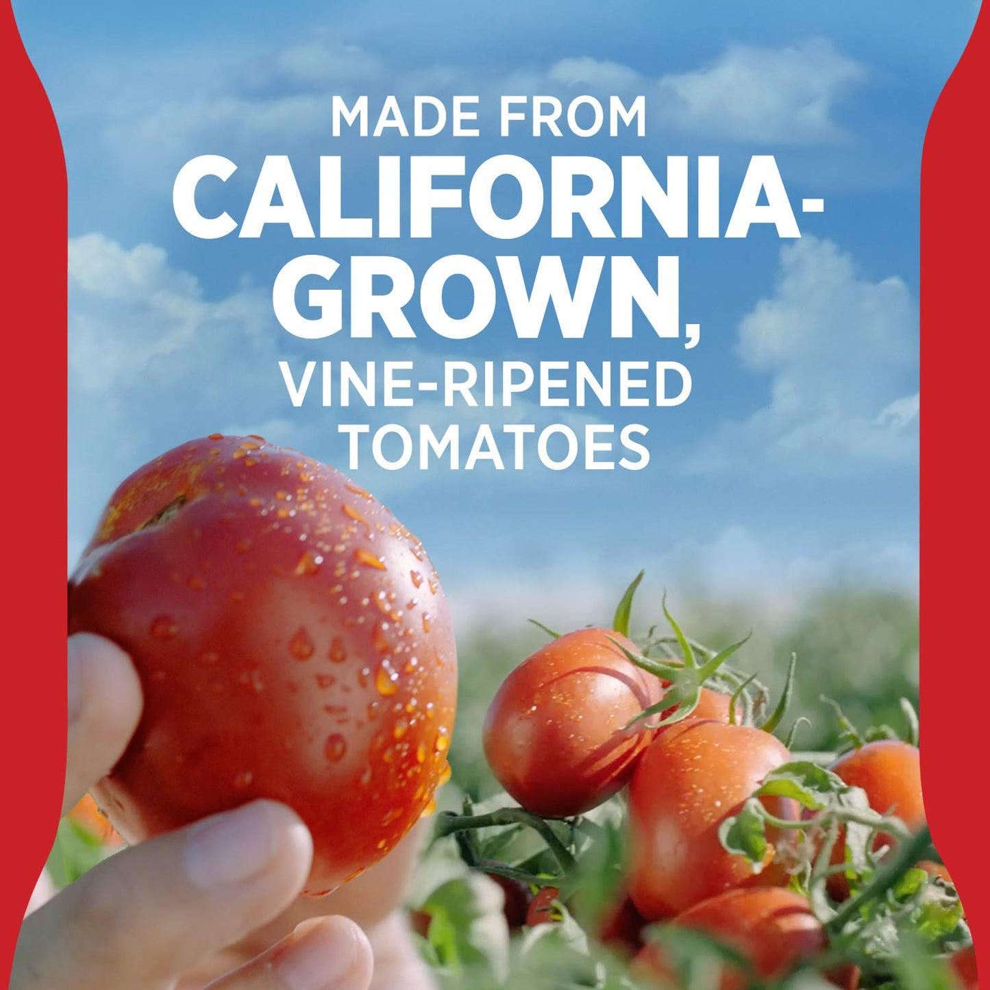 Hunt'S All Natural Tomato Ketchup, 38 Oz