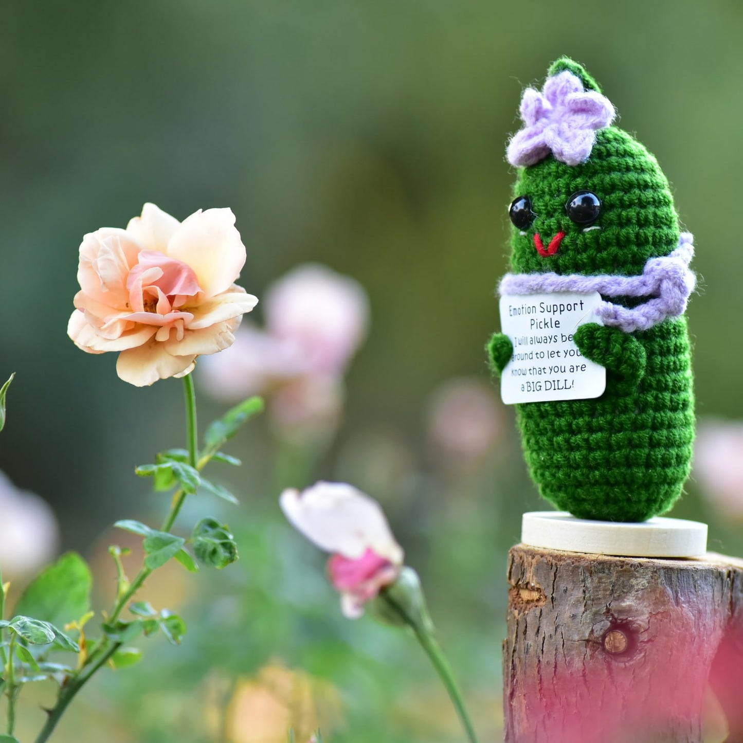 Kalawalk Funny Crochet Pickles 1 Pcs With Affirmations Cards For Inspirational Novelty Good Luck Gifts And Party Decorations(Kk-Ckd04-Ppfw)