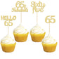 Gyufise 24Pcs Gold Glitter 65Th Birthday Cupcake Toppers Hello 65 Sixty Five Cake Toppers 65 & Fabulous Cupcake Picks For 65Th B