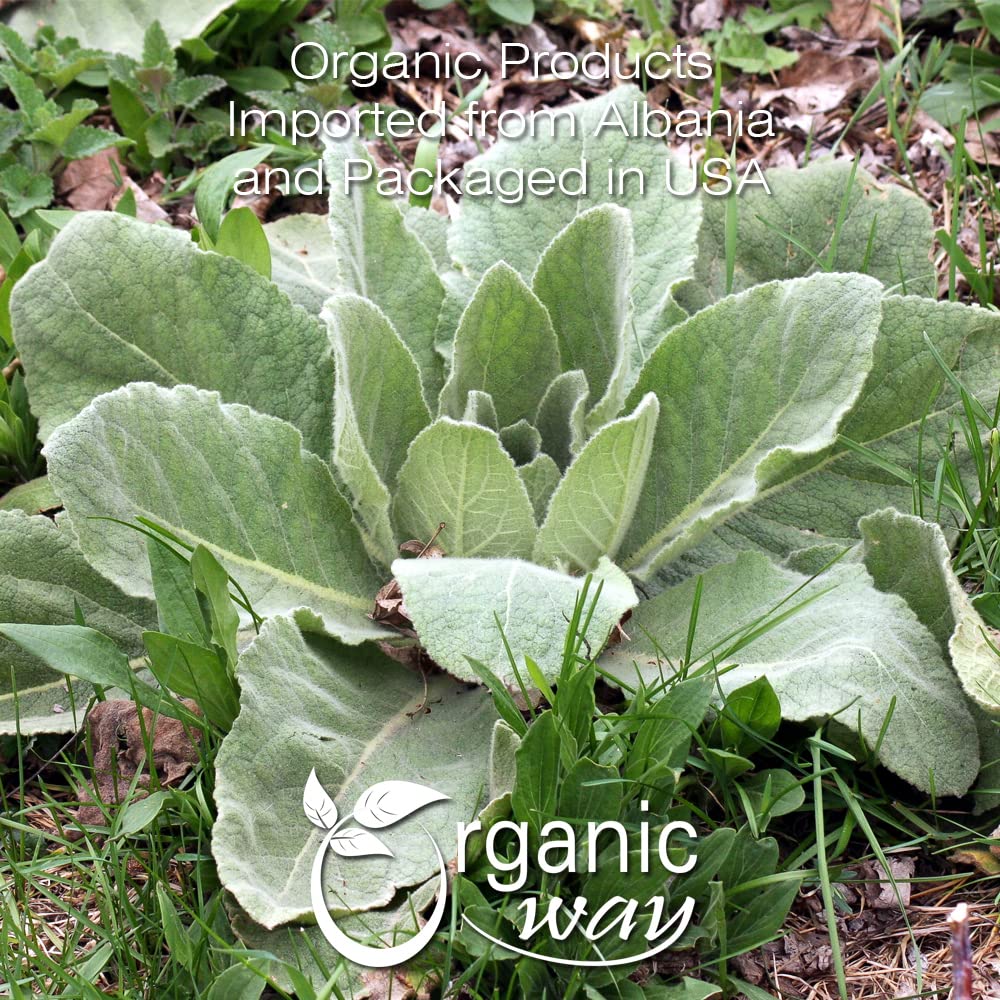 Organic Way Mullein Leaf Herbal Tea, Cut & Sifted, 16 Ounce, Non-GMO, USDA Certified, Kosher, Wild-Harvested from Albania