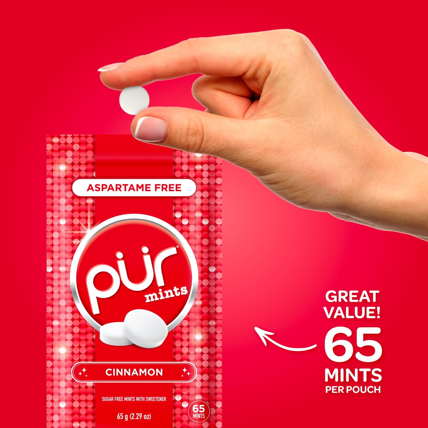 PUR Mints | Aspartame Free Breath Mints | Made with Xylitol | Sugar Free  Vegan  Gluten Free | Natural Cinnamon Flavor | 65 Pieces in Re-Sealable pouch (Pack of 3)