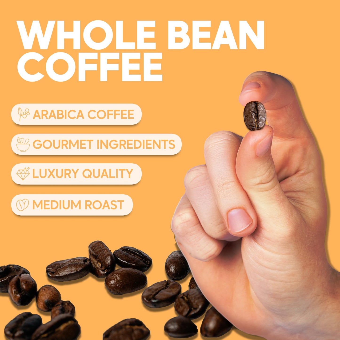 Sarasota Coffee Whole Bean Creme Brulee | Medium Roast Gourmet Flavored Coffee Beans | Low Acid, Mold Free, Specialty Grade Bulk