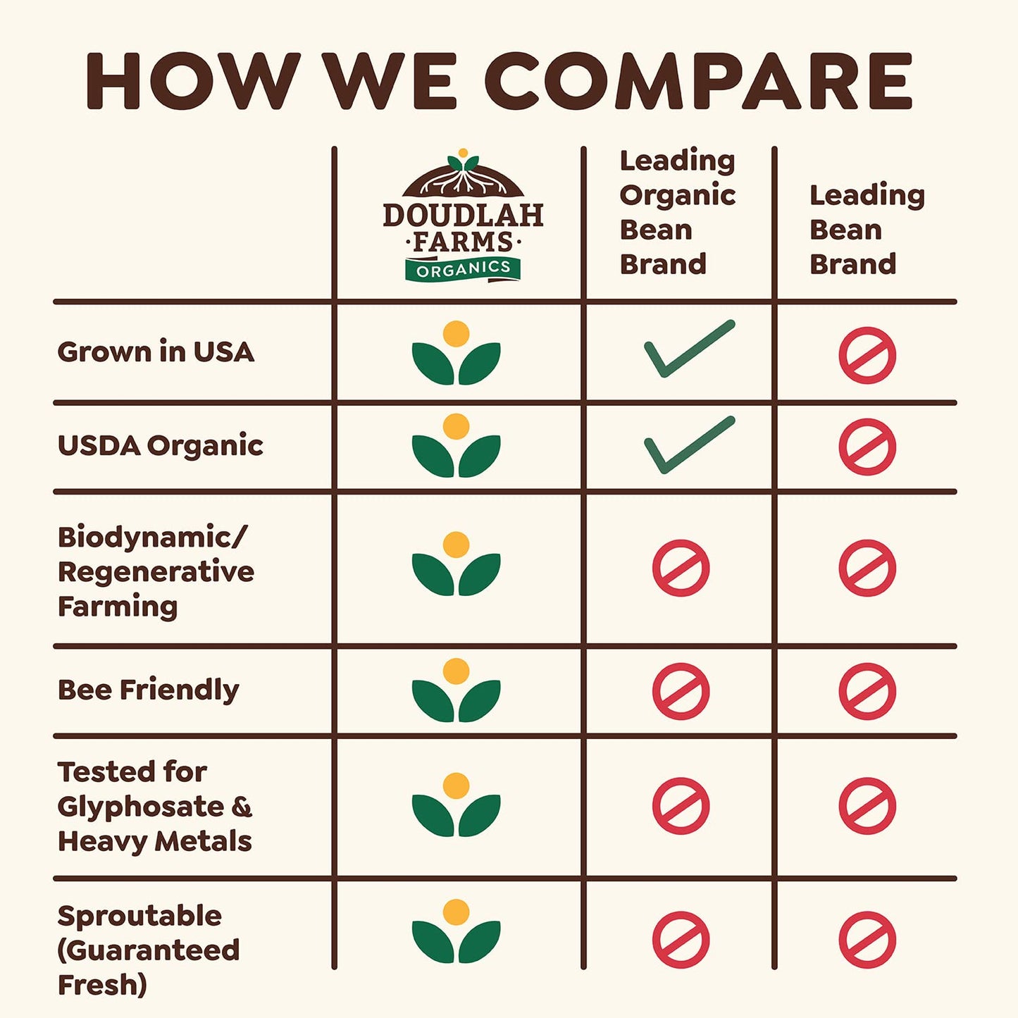 Organic Dried Pinto Beans 1lb Bulk by Doudlah Farms - Farmed From Regenerative Soil | Tested Clean Certified | Vegan, Non-GMO, G