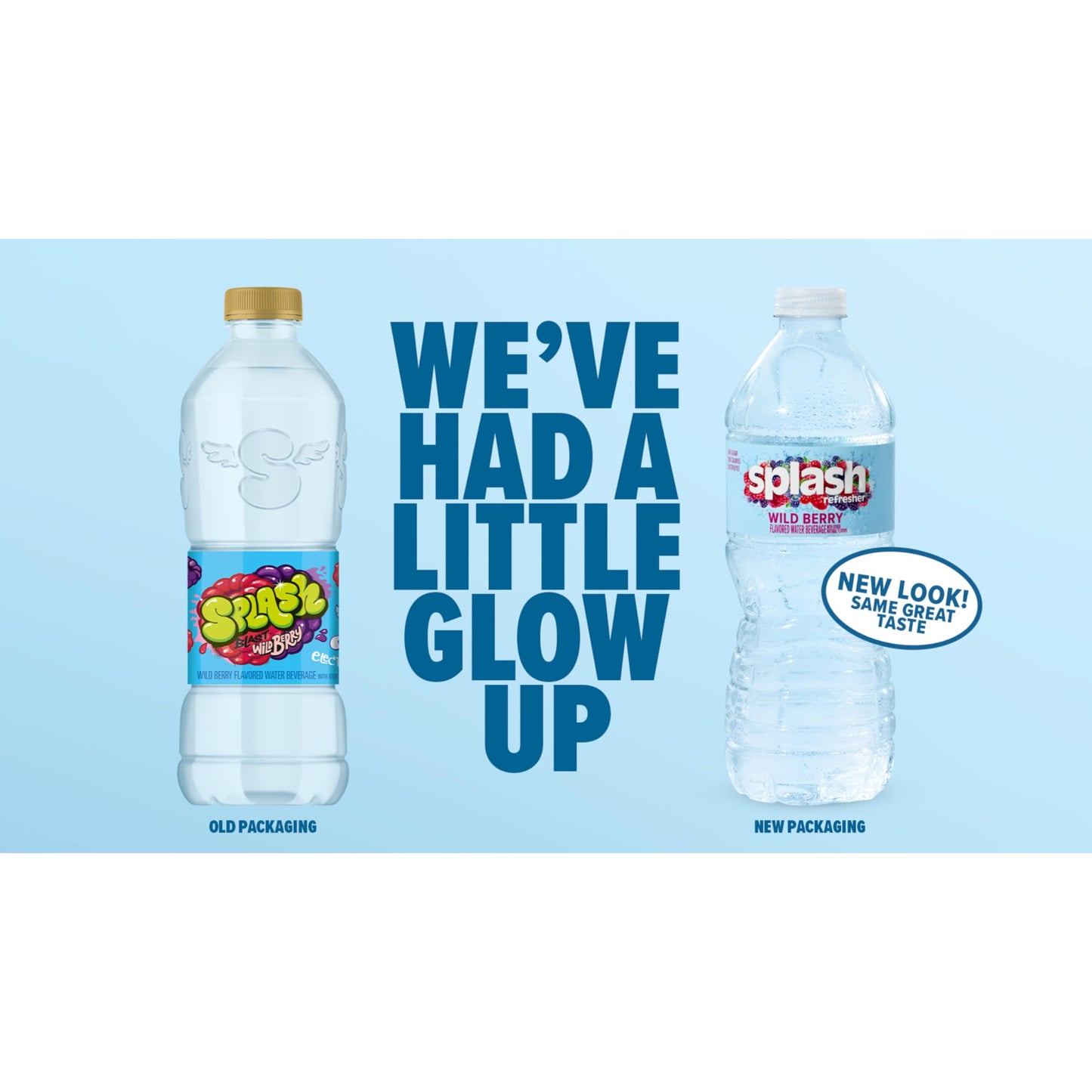 Splash Refresher Lemon Flavored Water, 16.9 Fl Oz, Plastic Bottle Pack Of 6