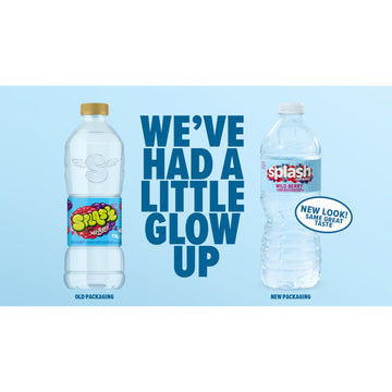 Splash Refresher Lemon Flavored Water, 16.9 Fl Oz, Plastic Bottle Pack Of 6