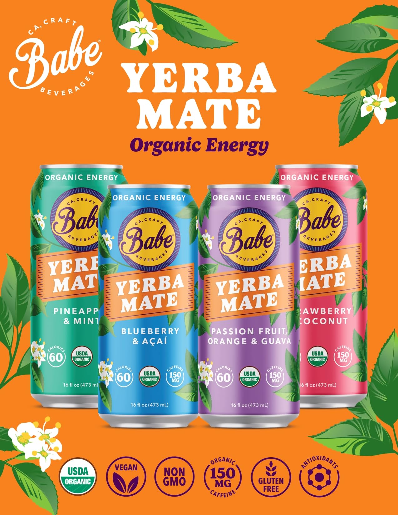 Babe Beverages Organic Yerba Mate Energy Drinks, 150mg Caffeine, Variety Pack (12 x 16oz Cans)