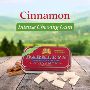Barkleys Sugar Free Gum, Xylitol Cinnamon Gum-Natural Gum, Breath Refreshing & Long-lasting Flavor -Sugarless Gum, Healthy Gum,