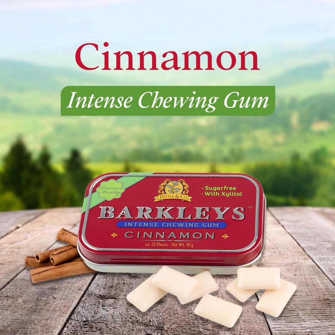 Barkleys Sugar Free Gum, Xylitol Cinnamon, 1 Pack (30g, 22 gums), Brown, Model 104032