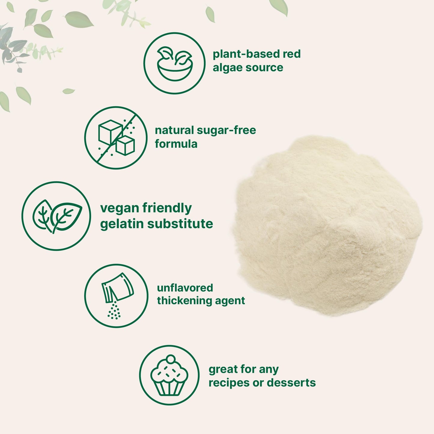 Micro Ingredients Agar Agar Powder, Unflavored Thickening Agent, 16oz, Vegan, Non-GMO, Plant-Based from Red Algae