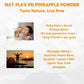 NAT FLAV Freeze Dried Pineapple Powder - 10.5oz/300g | 100% Natural, No Added Sugar, No Preservatives | Pure Tropical Flavor for