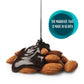 SUNNY ISLAND Dark Chocolate Covered Almonds | 32 Ounces | Bulk Chocolate Nuts for Party Favors, Gifting & Snack Stations
