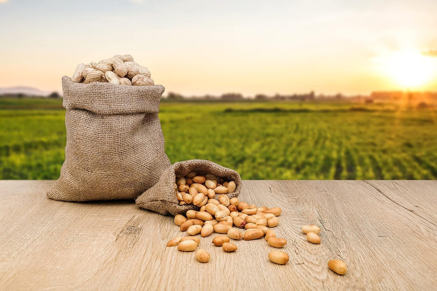 Fruidles Raw Peanuts (2 Pounds (Pack Of 12))