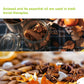 Kah'S Journey Star Anise - Star Anise Whole 8 Oz, Chinese Star Anise Pods For Cooking, Baking, Or Brewing Tea, Dried Star Anise