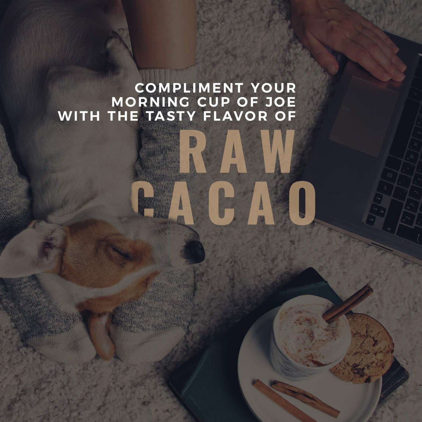 Cacao Powder Organic - 1 Pound - Unsweetened Premium Grade Superfood (Raw) - USDA & Vegan Certified - Perfect for Keto, Breakfas