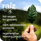Happy Coffee Medium Roast Whole Bean Coffee, 12 Oz., Notes Of Berries & Optimism, Recyclable Container, Grown & Harvested In Brazil & Colombia, Raíz Sustainability Verified