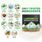 Larineco Remineralizing Gum with Nano Hydroxyapatite & Xylitol - Sugar-Free Cinnamon Xylitol Gum - Plastic-Free  Dye-Free  Aspartame-Free - Natural Base - 18 Pieces (18 Count (Pack of 2)  Peppermint)