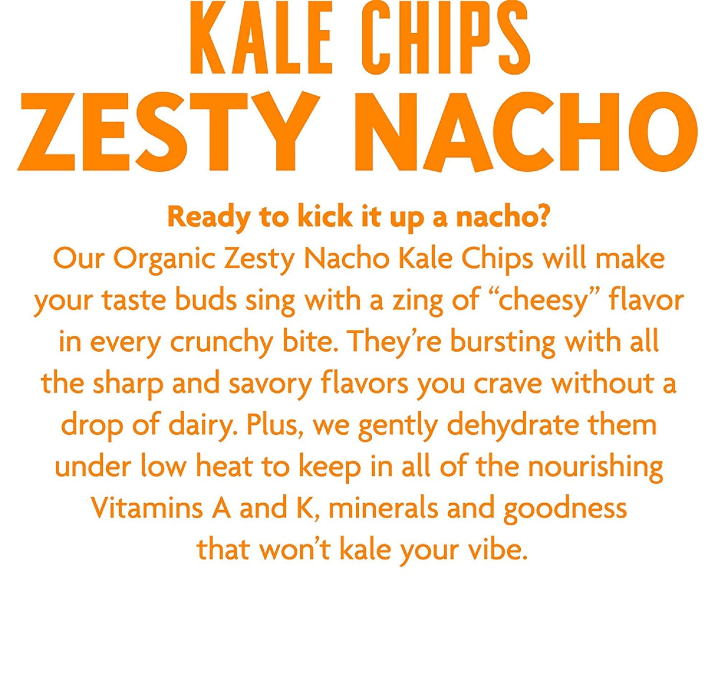 Rhythm Superfoods Chip Kale Zesty Nacho Org