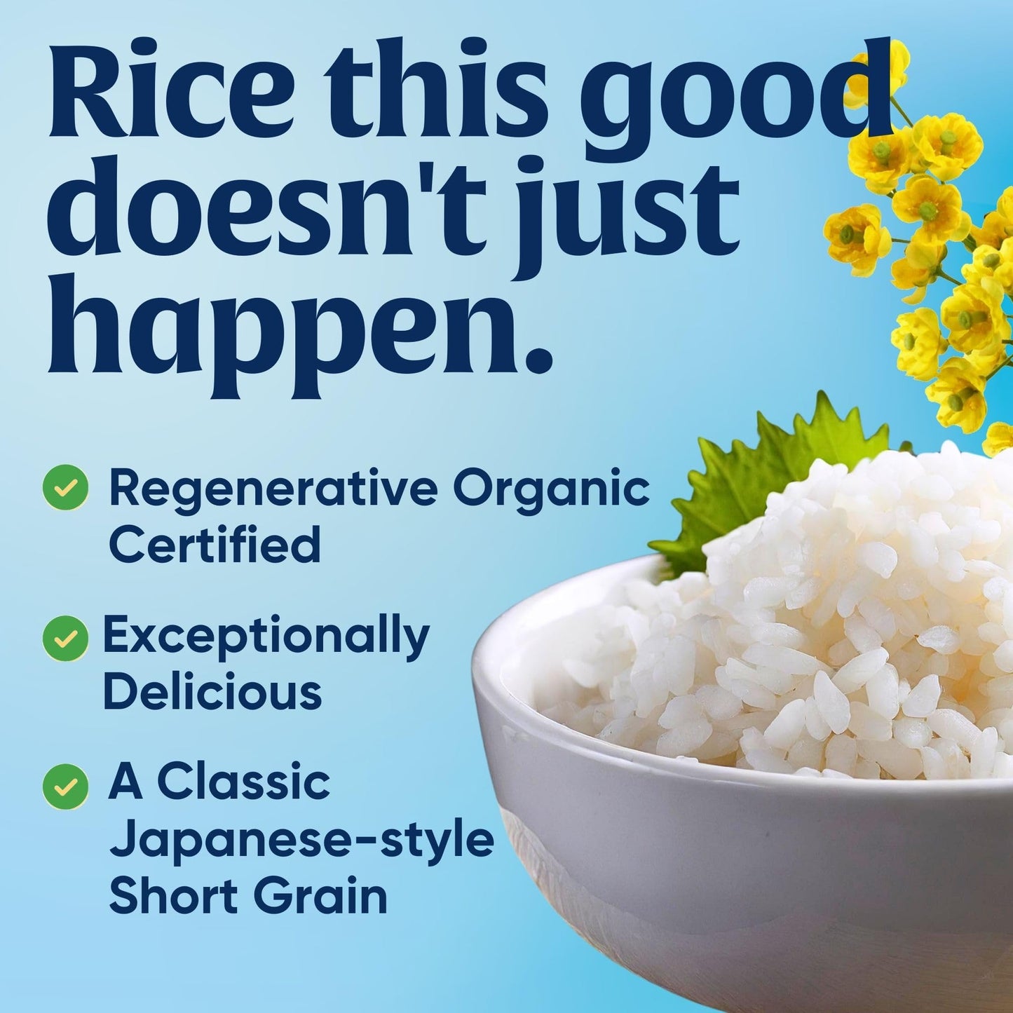 Lundberg California Sushi Rice, Regenerative Organic Certified, 32 Oz, Pack of 6, White Short Grain, Sticky Rice