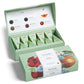 Tea Forte Tea Gift Set Sampler, 10 Count, Handcrafted Pyramid Infuser Bags, 2 of Each Variety, Individually Wrapped