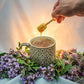 Holy Herb 100% Pure Raw Unfiltered Santa Yerba & Sage Honey, 16 Oz.