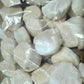Today Gourmet Foods of NC - Scallops - U10 Dry (5lb Pkg)