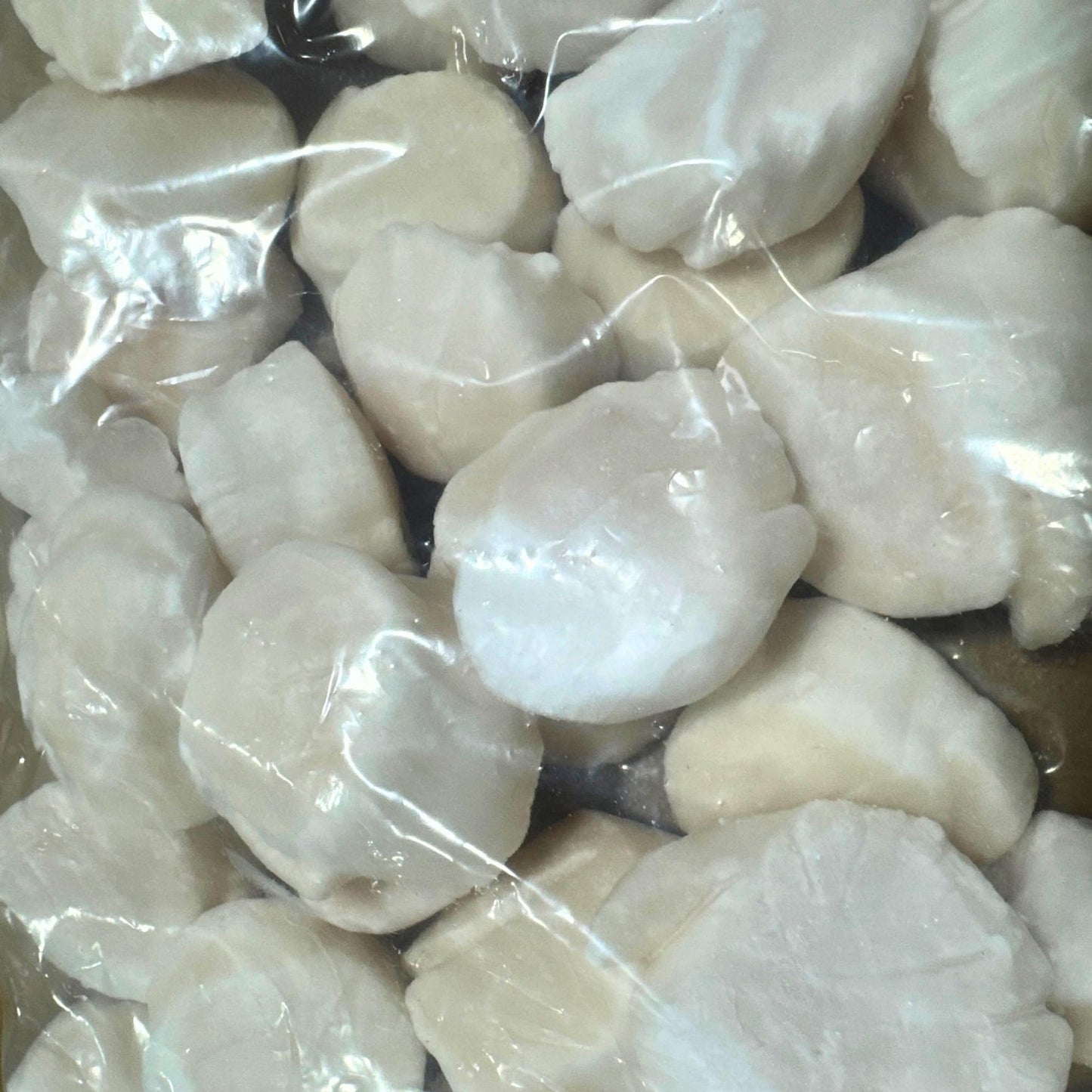 Today Gourmet Foods of NC - Scallops - U10 Dry (5lb Pkg)