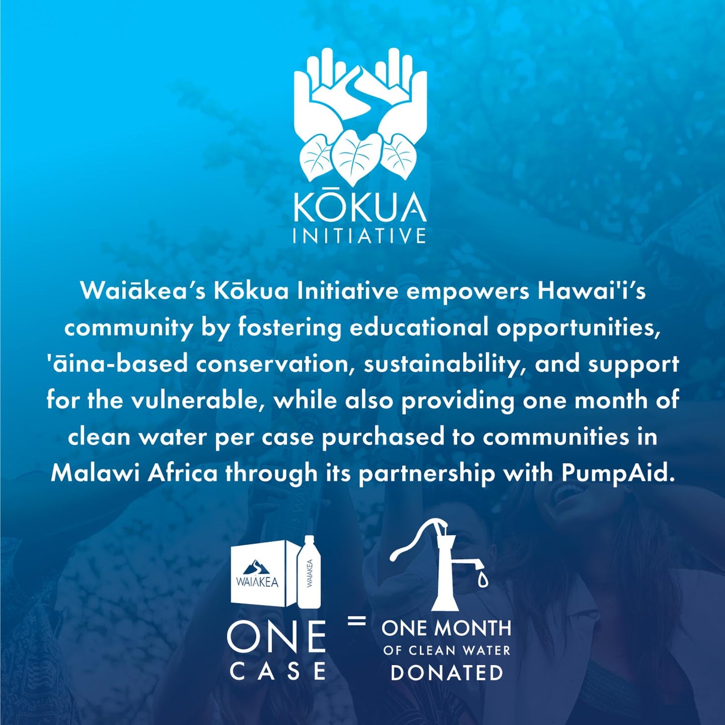 Waiakea Hawaiian Volcanic Water, Naturally Alkaline, 33.8 Fl Oz, 100% Recycled Bottle, Pack of 12, Model 1001