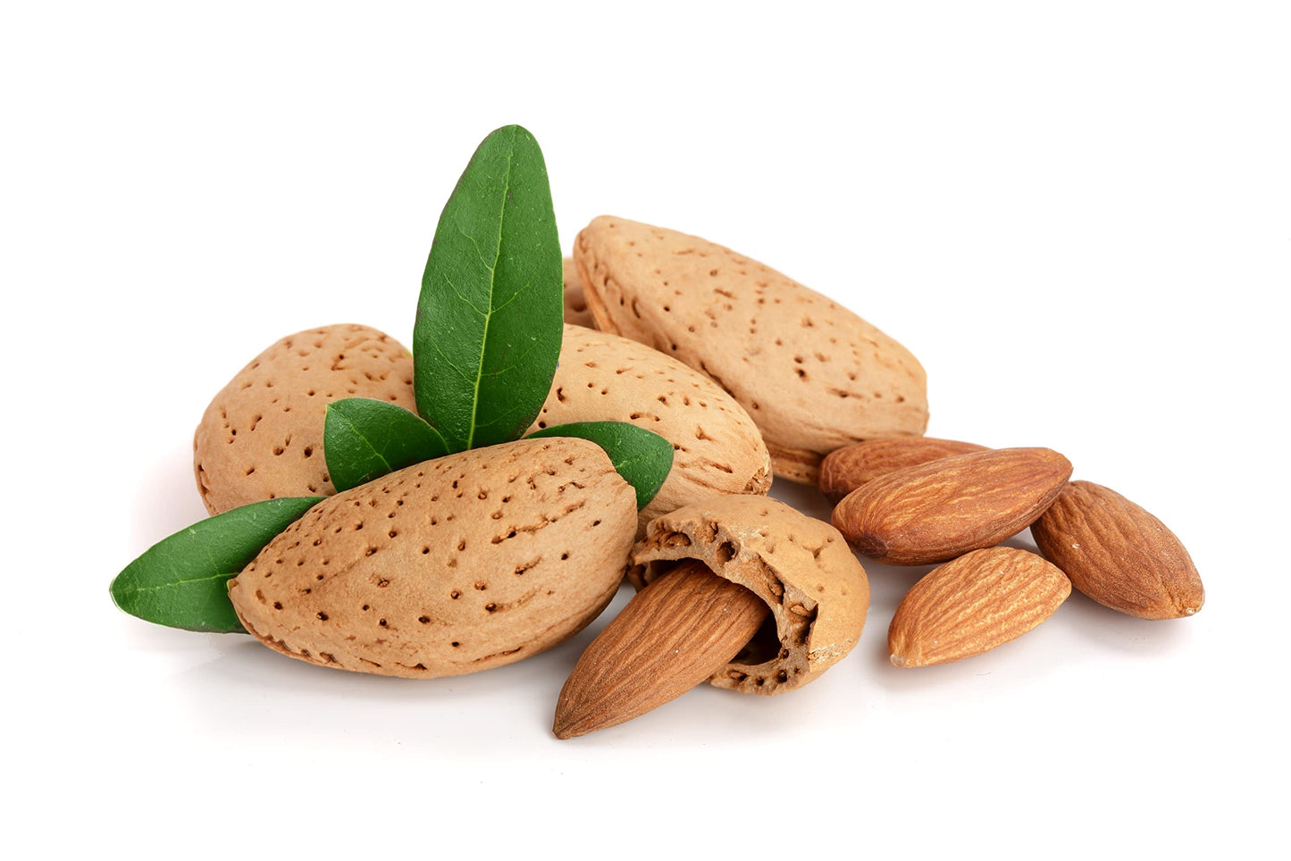Anna and Sarah Almonds In Shell, Raw, Natural, Whole, Jumbo California Almonds, in Box, 8 Lbs