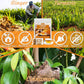 50 enhanced Turmeric  Ginger  Cinnamon Blend Tea Bags  100% Natural & No Additives & Caffeine Free.