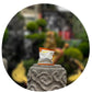 Share Original® Cultured Fermented Japanese Apricot/Plum (3-Pc) - 30+ Months Aged, Includes Description, Swiss Fermented