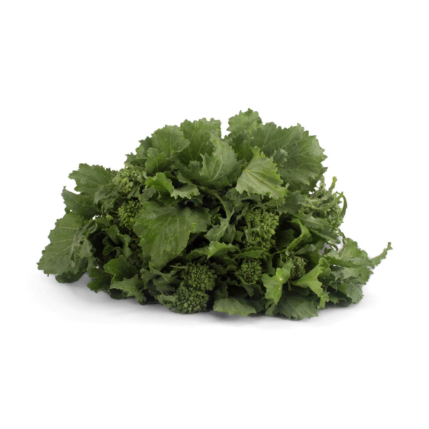 Broccoli Rabe, Organic, 1 Count